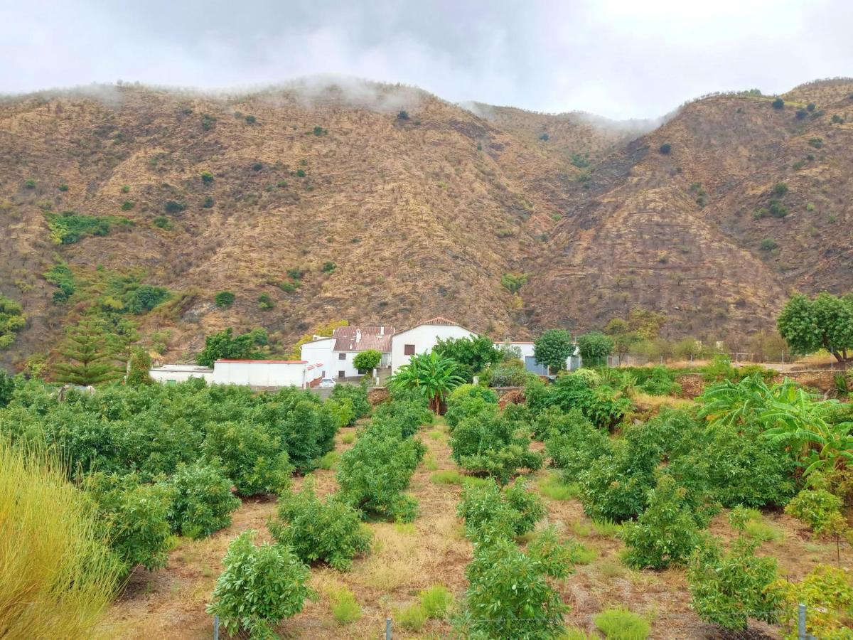 La Casita Azul - Casa Tipica Andaluza Villa Albunol Luaran gambar